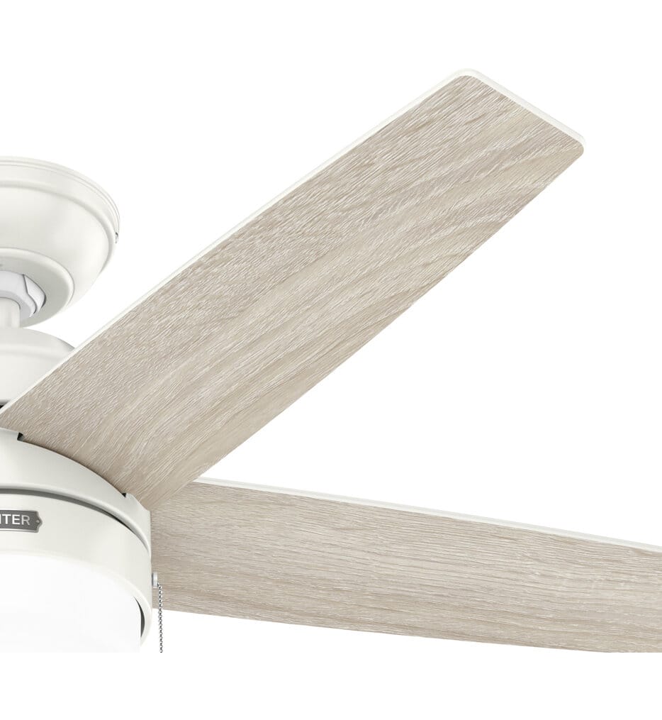 Hunter - Bardot Ceiling Fan
