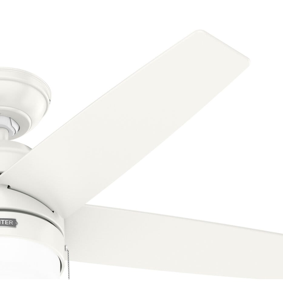 Hunter - Bardot Ceiling Fan