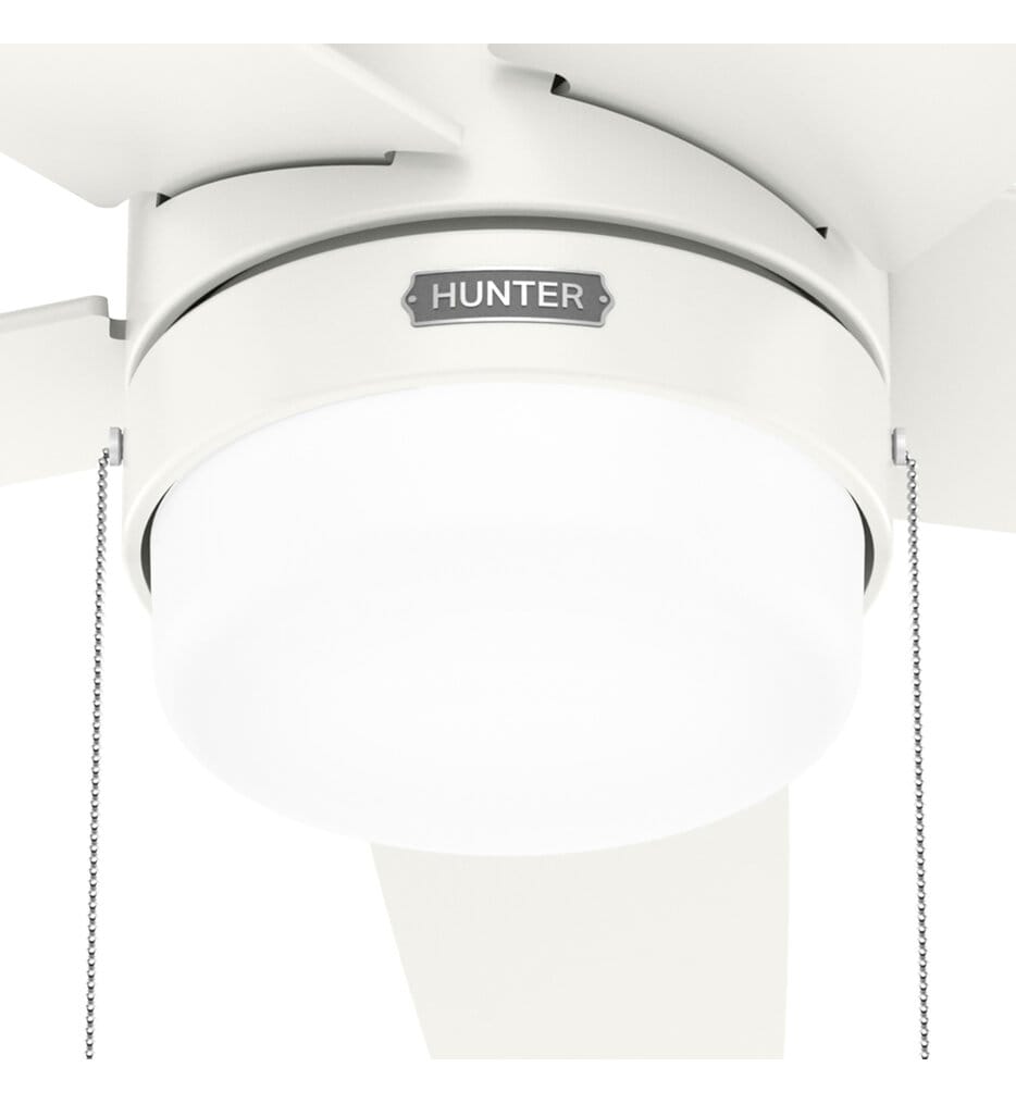 Hunter - Bardot Ceiling Fan