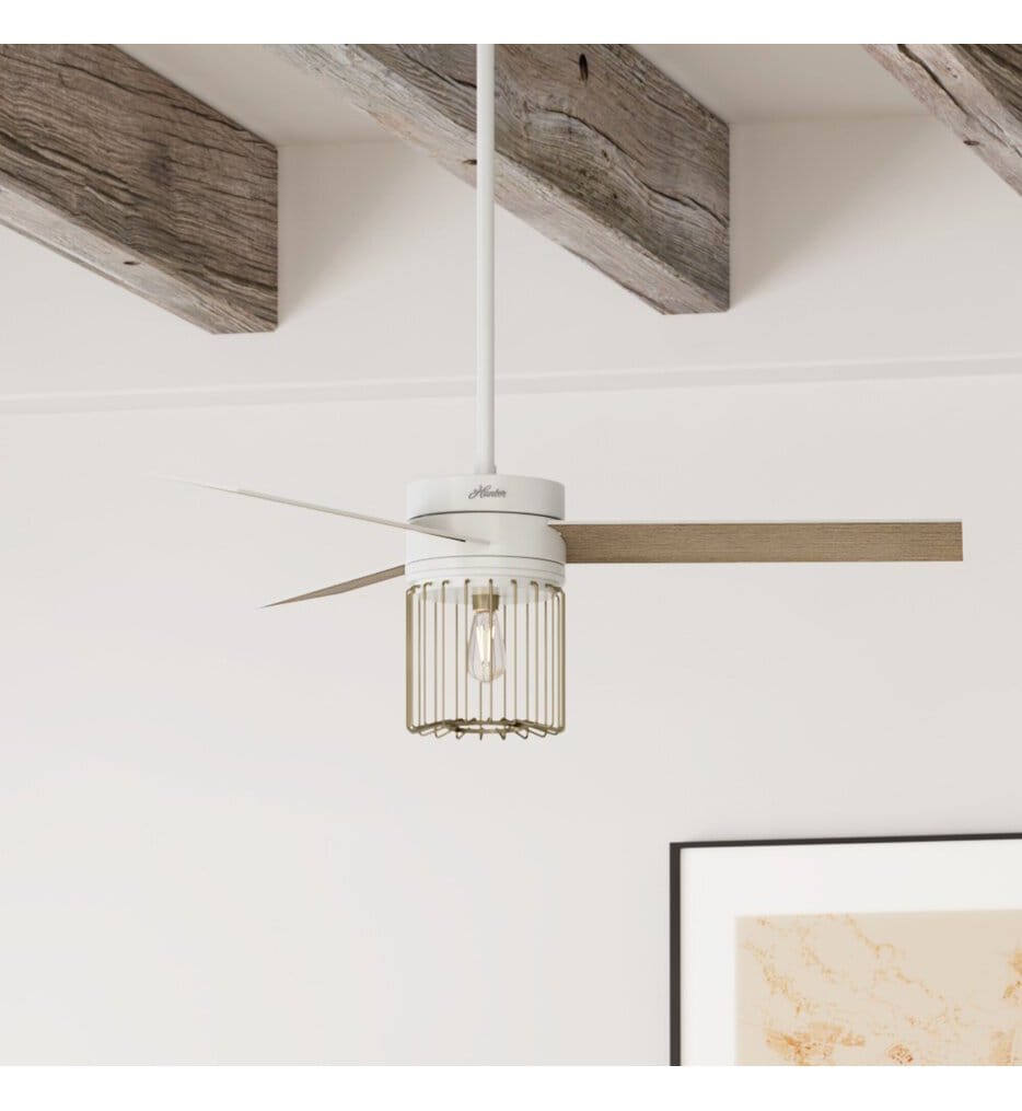 Hunter - Ronan Ceiling Fan