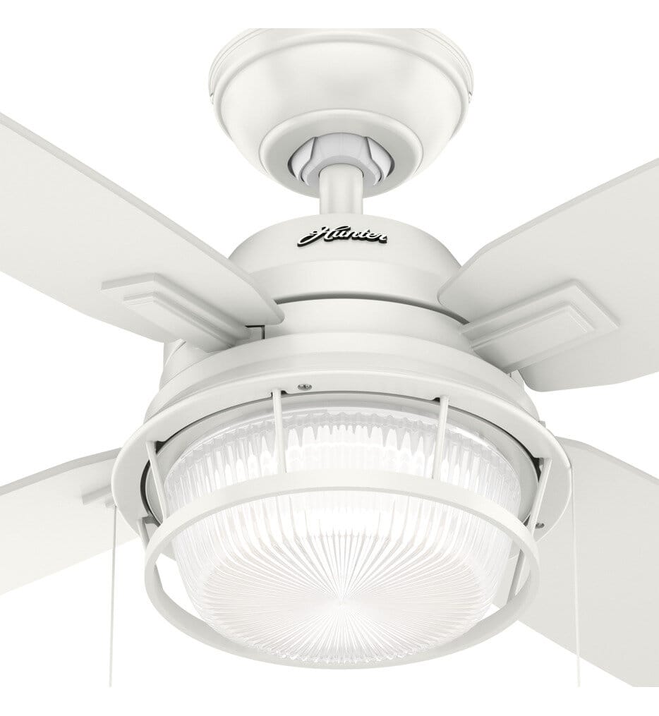 Hunter - Ocala Ceiling Fan