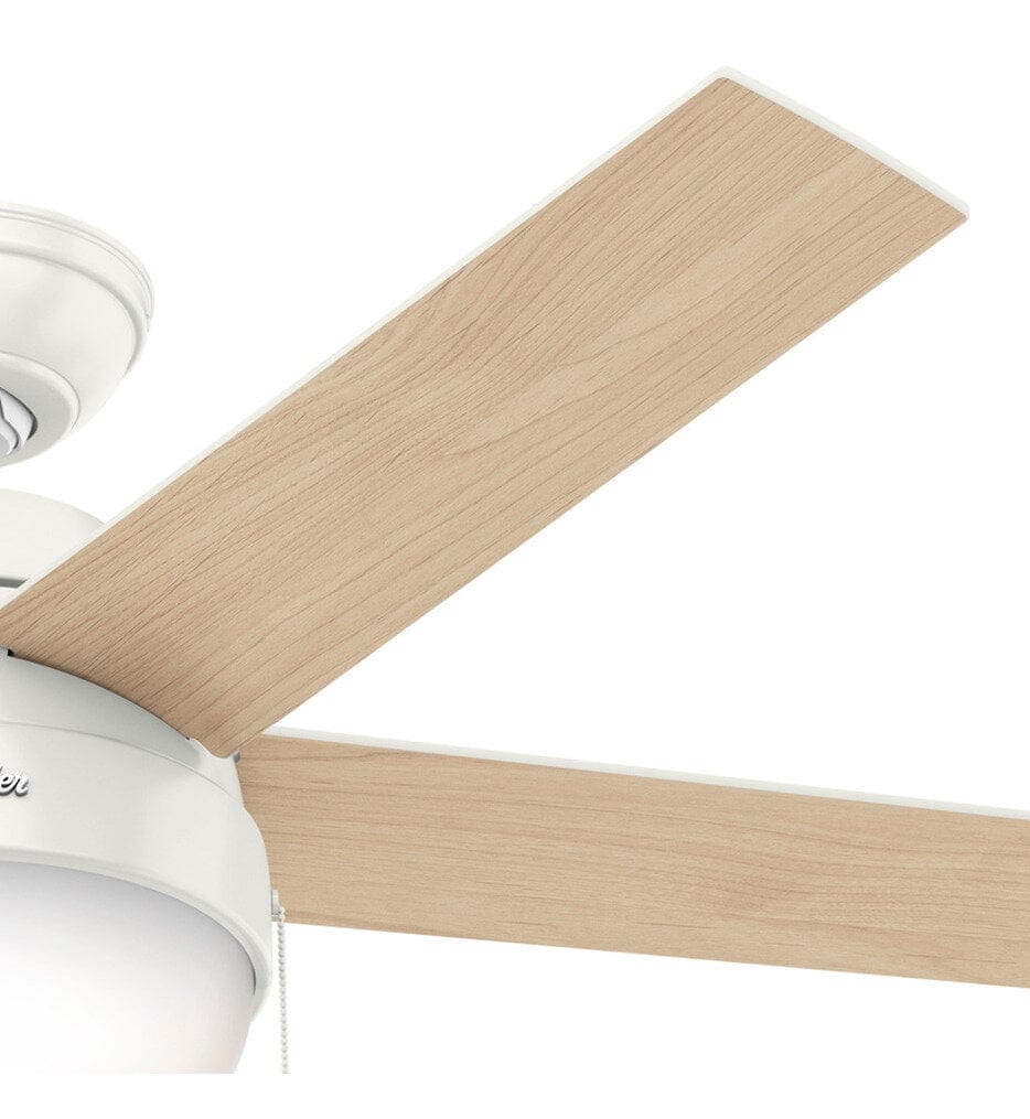 Hunter - Anslee Ceiling Fan