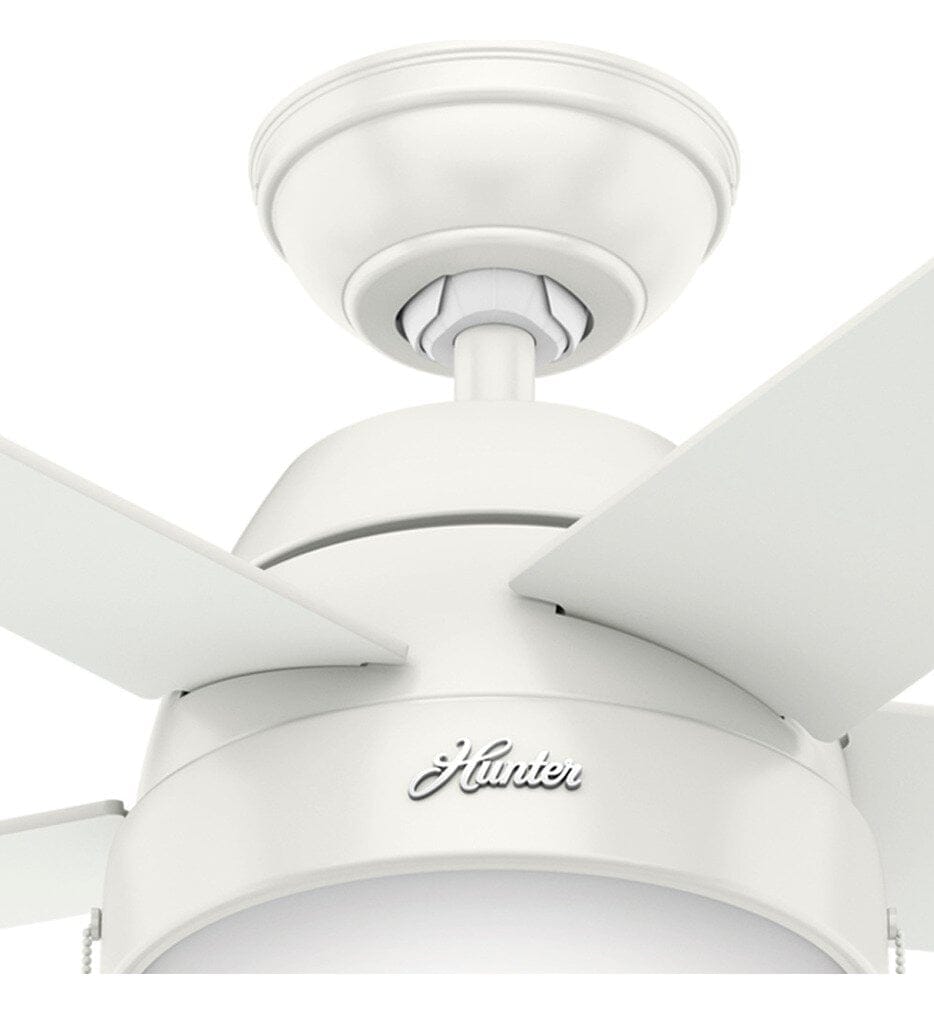 Hunter - Anslee Ceiling Fan