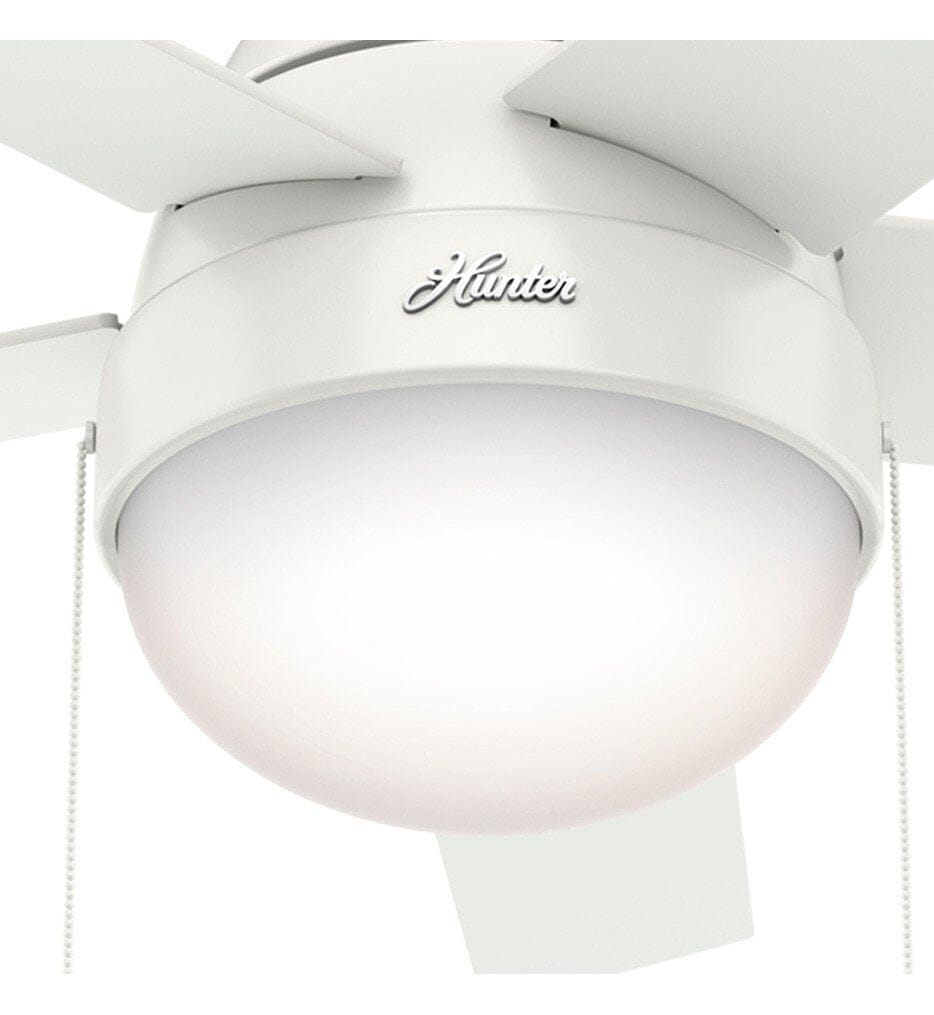 Hunter - Anslee Ceiling Fan