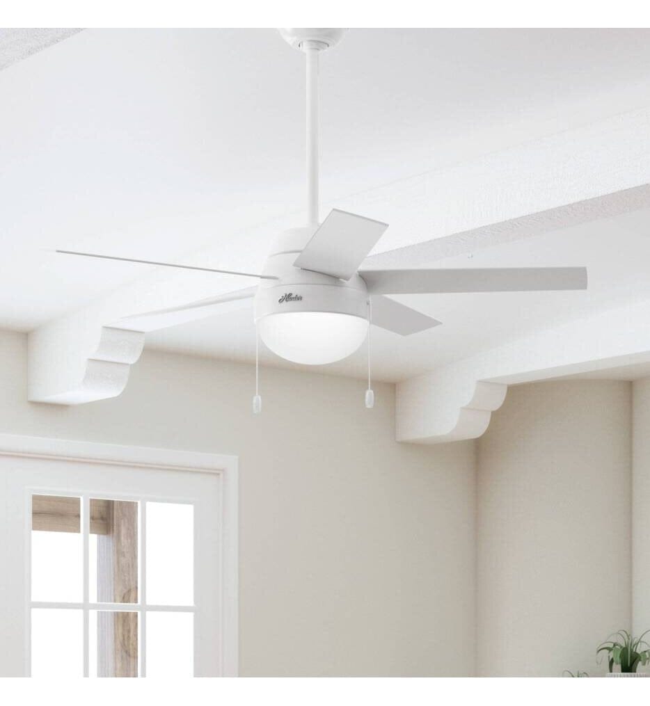 Hunter - Anslee Ceiling Fan