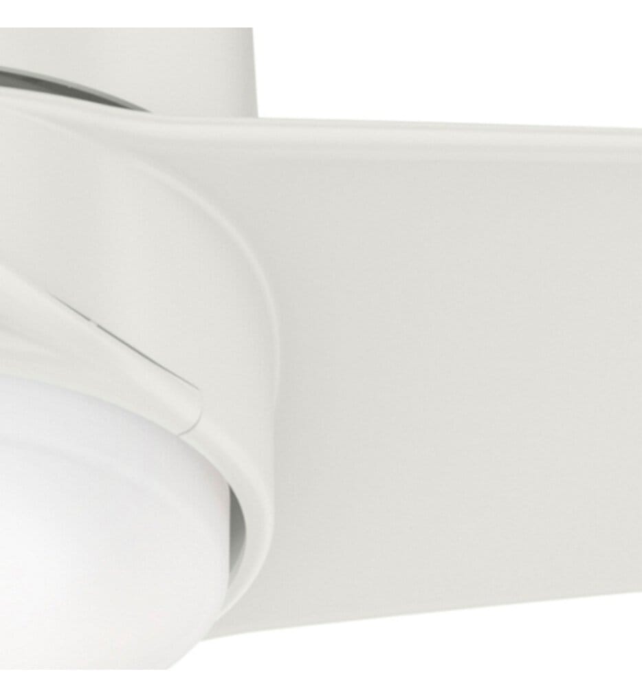 Hunter - Havoc Ceiling Fan