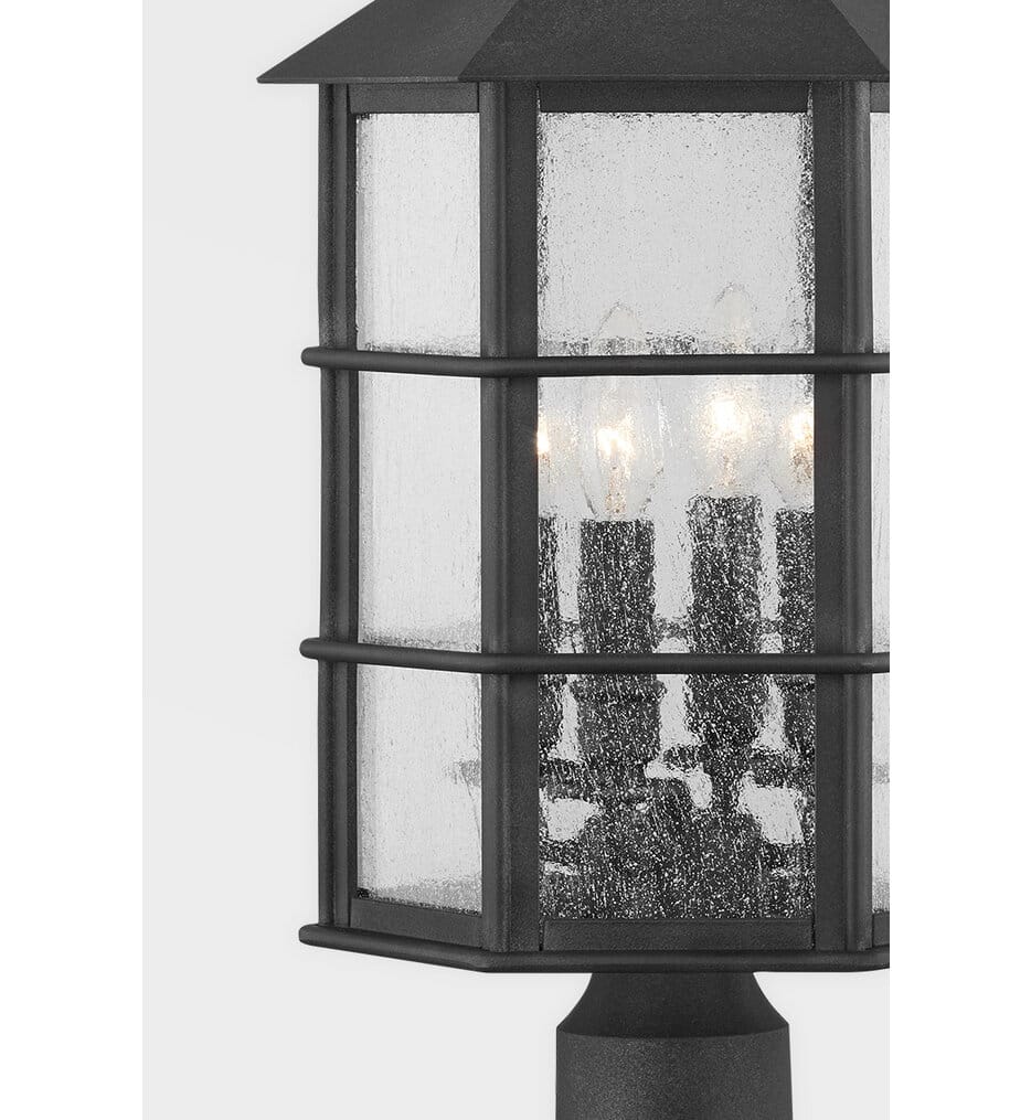 Troy Lighting - F2526-FRN - Lake County 25.75" Outdoor Pendant