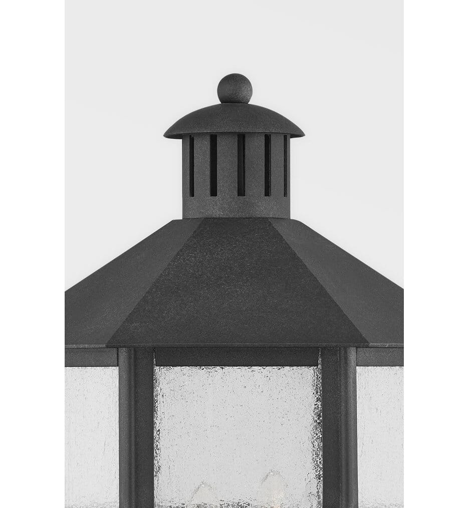 Troy Lighting - F2526-FRN - Lake County 25.75" Outdoor Pendant