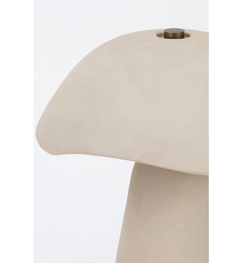 Troy Lighting - PTL1222-PBR/CAE - Soloma 20.75" Table Lamp