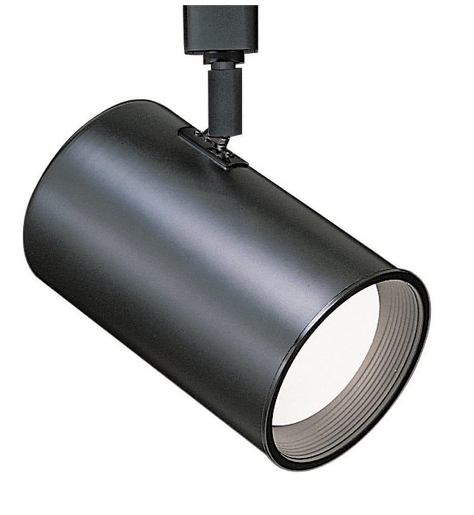 WAC Lighting - 704 Line Voltage PAR30 Track Head
