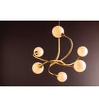 Corbett Lighting - 294-06-GL - Signature 29" Chandelier by Corbett Lighting - Image 3