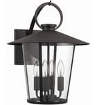 Crystorama - AND-9202-CL-MK - Andover 17.25" Outdoor Wall Sconce by Crystorama - Image 4