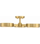Crystorama - Orson 22.5" Semi Flush by Crystorama - Image 2