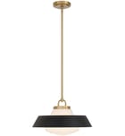 Crystorama - Xander 16-Inch Pendant by Crystorama - Image 5
