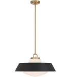 Crystorama - Xander 20-Inch Pendant by Crystorama - Image 5