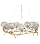Currey & Company - 9000-1080 - Dandelion 38.5" Chandelier by Currey & Company - Image 7