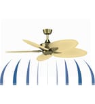 Fanimation - FP7500RS - Windpointe 52" Ceiling Fan by Fanimation - Image 3