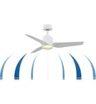 Fanimation - FPD8514MWW-44BNW-12LK - TriAire Custom 44" Ceiling Fan by Fanimation - Image 2
