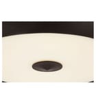 Visual Comfort Studio - Solene 24-inch Chandelier by Visual Comfort Studio - Image 5