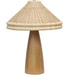 Four Hands - 249656-001 - Canela 22-inch Table Lamp by Four Hands
