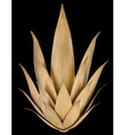 Fredrick Ramond - Agave 20.75" Wall Sconce by Fredrick Ramond - Image 10