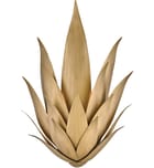 Fredrick Ramond - Agave 20.75" Wall Sconce by Fredrick Ramond - Image 4
