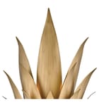 Fredrick Ramond - Agave 20.75" Wall Sconce by Fredrick Ramond - Image 5