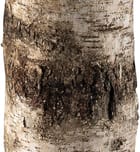Jamie Young - 1FORR-FLBI - Forrester 68.5" Floor Lamp by Jamie Young - Image 5