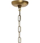 Jamie Young - 5MAGN-CHGR - Magnolia 30" Chandelier by Jamie Young - Image 8