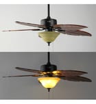 Jonathan Y - Poinciana 52" Ceiling Fan by Jonathan Y - Image 10