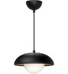 Alora Mood - Rubio 10.875" Pendant by Alora Mood