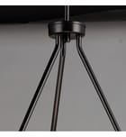 Maxim Lighting - Sentinel 24" Chandelier by Maxim Lighting - Image 4