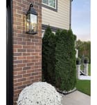 Maxim Lighting - 30024CLBK - Vicksburg 24" Outdoor Wall Sconce by Maxim Lighting - Image 6