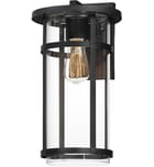 Maxim Lighting - 40625CLBK - Clyde Vivex 17" Outdoor Sconce by Maxim Lighting