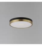 Maxim Lighting - 59702WTBKAB - Dapper 12" Flush Mount by Maxim Lighting - Image 2