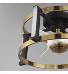 Maxim Lighting - 61022WTBKNAB - Darling 24" Fandelier by Maxim Lighting - Image 4