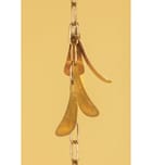 Mitzi - H812701S-VGL - Victoria 9" Pendant by Mitzi - Image 4