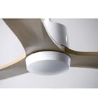 Modern Fan Company - Arbor 54" Ceiling Fan by Modern Fan Company - Image 3