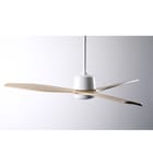 Modern Fan Company - Arbor 54" Ceiling Fan by Modern Fan Company - Image 5