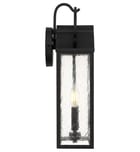 Quoizel - DAM8407MBK - Damian 18-inch Outdoor Wall Sconce by Quoizel - Image 7