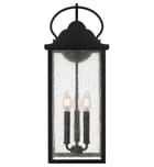 Quoizel - DAM8408MBK - Damian 22.5-inch Outdoor Wall Sconce by Quoizel - Image 6