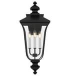 Quoizel - FARL8410MBK - Farley 25.25-inch Outdoor Wall Sconce by Quoizel - Image 12