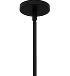 Quoizel - FRK2822MBK - Frankie 22" Pendant by Quoizel - Image 7