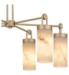 Quoizel - GIA5026BGD - Gianna 26.5-inch Chandelier by Quoizel - Image 8