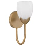 Quoizel - JACO8605BGD - Jacobs 12-inch Wall Sconce by Quoizel - Image 6