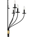 Quoizel - MAG5032MBK - Margaret 32" Chandelier by Quoizel - Image 10