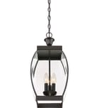 Quoizel - OAS1509Z - Oasis 9" Outdoor Pendant by Quoizel - Image 5