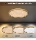 Quoizel - Outskirts 15" Flush Mount by Quoizel - Image 4