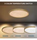 Quoizel - Outskirts 20" Flush Mount by Quoizel - Image 4