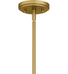 Quoizel - PNY5028BRG - Penley 28" Chandelier by Quoizel - Image 9